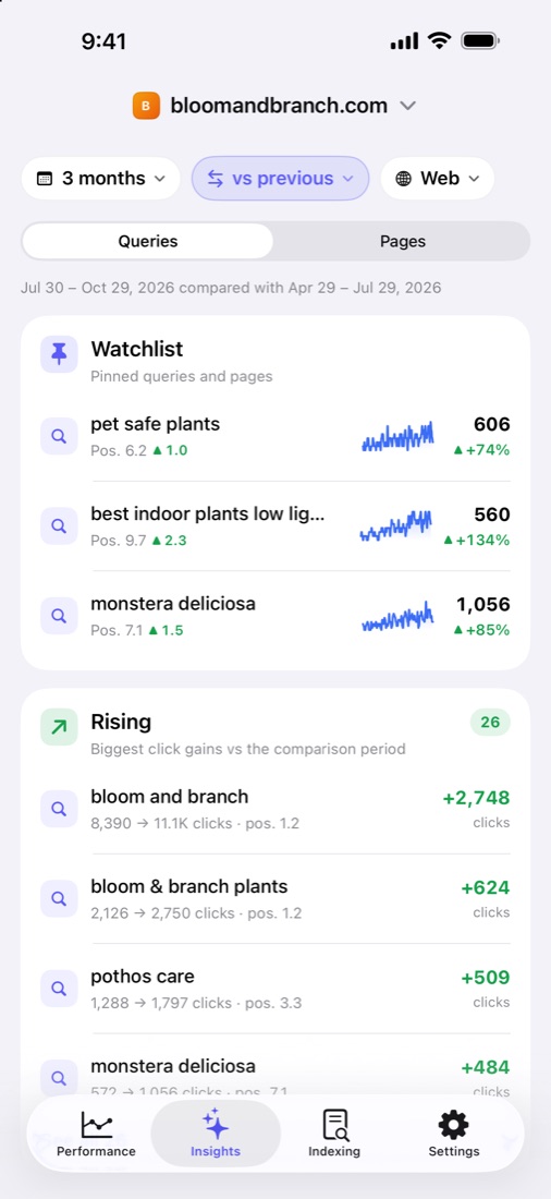 Insights with watchlist and rising keywords